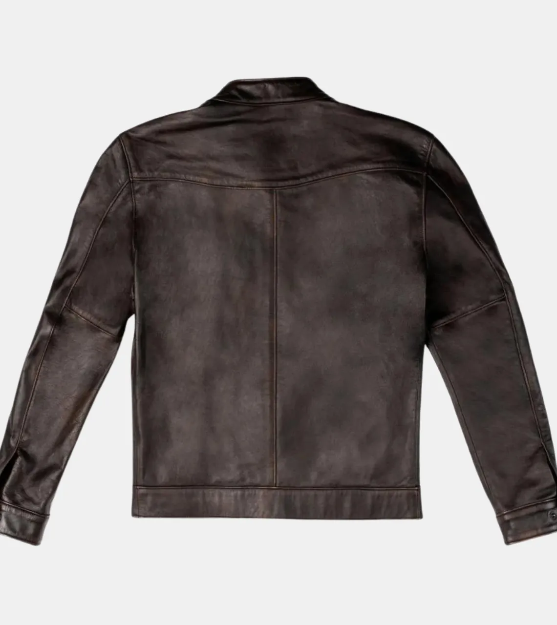 Marlyn Men's Brown Rugged Leather Jacket