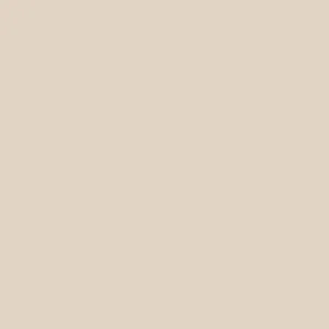 RD STYLE SEDOND SKIN WOMEN'S CATHERINA CROPPED TANK TOP-DARK IVY, CHAMPAGNE